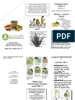Leaflet Penyuluhan - DHF