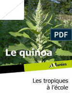 Le Quinoa