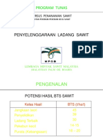 Sop Kelapa Sawit Kampung