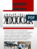 Seguridad Ciudadana