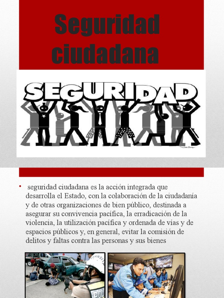 La seguridad ciudadana en Perú: desafíos y estrategias para combatir la ...