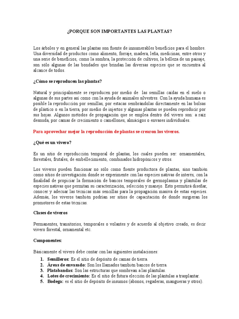 Pasos Para Hacer Un Vivero