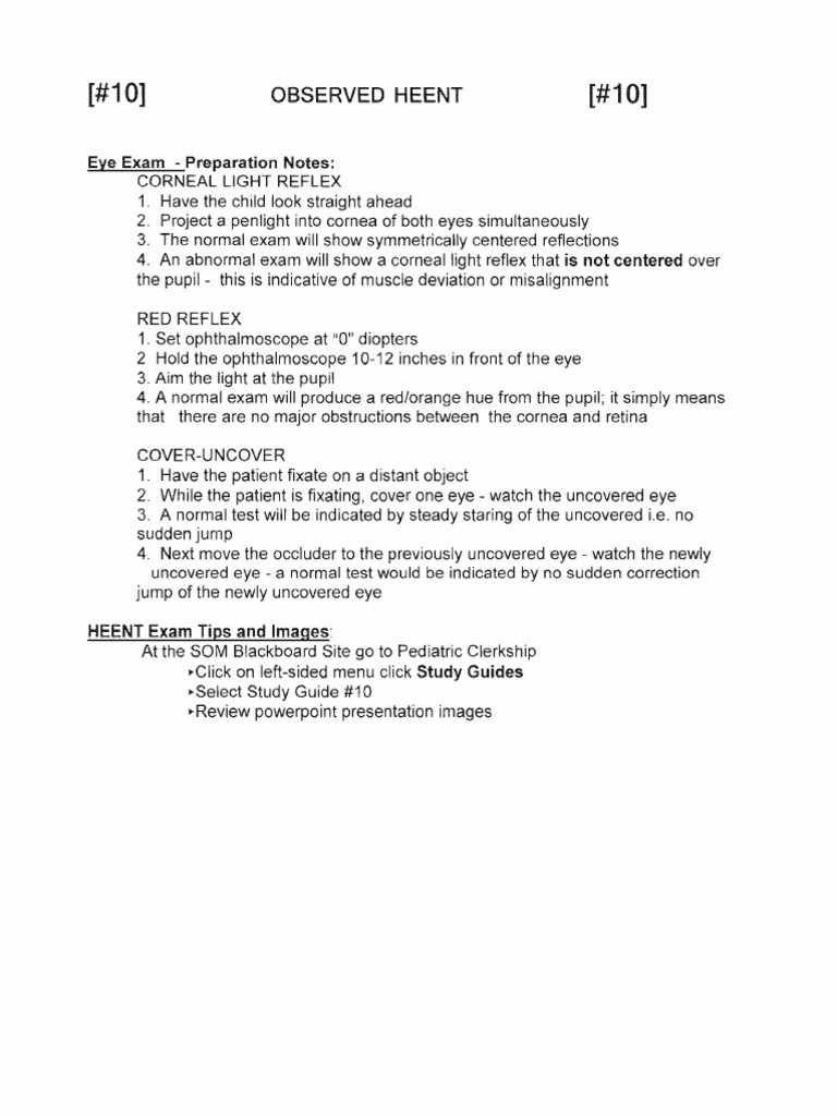 Study Guide #10 For Blackboard | PDF | Human Head And Neck | Facial ...