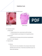 I Nabothian Cysts PDF