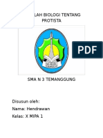 Makalah Biologi Tentang Protista