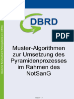 DBRD Pyramidenprozess Notfallsanitäter