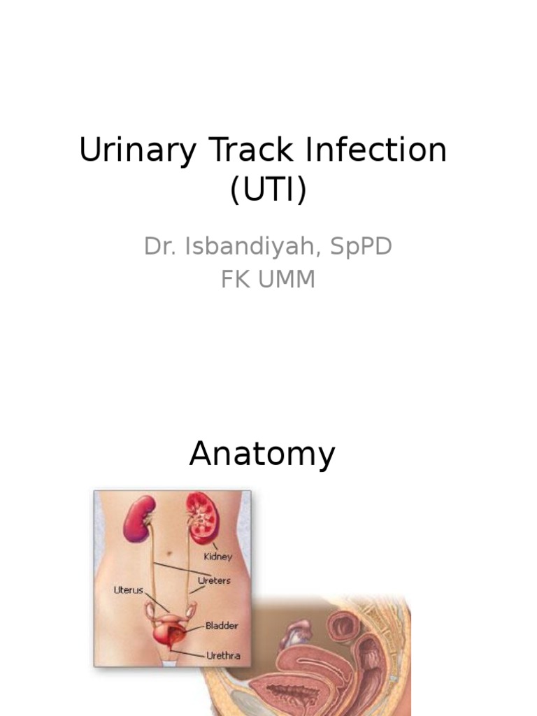 Urinary Track Infection | PDF