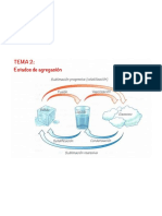 Tema 2.2 Estados de Agregación Primera Parte