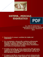 7 Sistema Músculo Esqueletico (1)