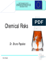 Chemical Risks (Papaleo) - English