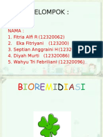 Bioremidiasi