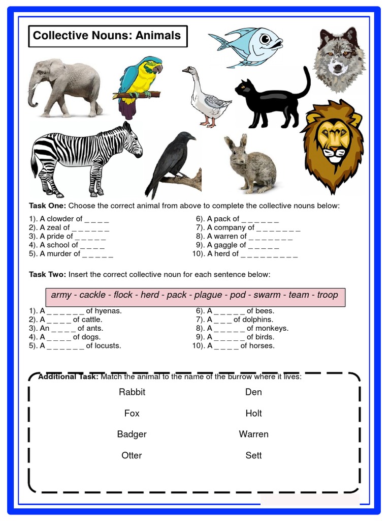 Collective Nouns Animals.pdf Organisms Nature