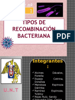 Tipos de Recombinación Bacteriana