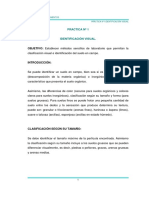 Práctica N° 1 Identificación Visual.pdf