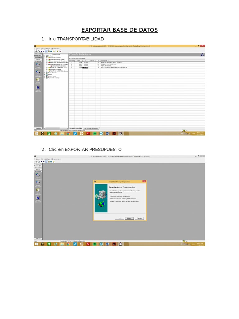 Exportar Base de Datos en S10 | PDF