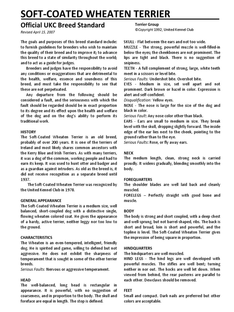 soft coated wheaten terrier aggression