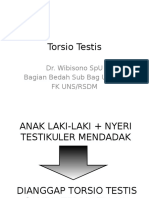 Torsio Testis