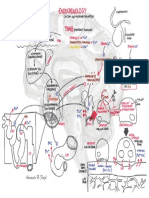 Endocrinology - Calcium and Phosphate Washed PDF