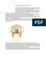 Anatomi Dan Fisiologi Jantung