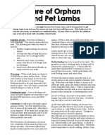 Lamb Feeding PDF CR
