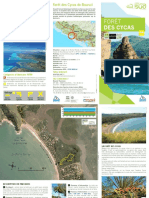 Sentier Foret Cycas Bourail