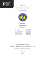 Literature coursework help