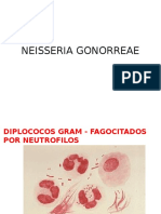 Para Examen Práctico Yersinia Pestis, Antrax, Colera