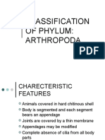 Arthropod Classification and Characteristics