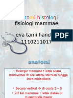 Anatomi Histologi Fisiologi Mammae