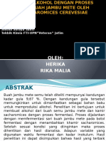 Pembuatan Alkohol Dengan Proses Fermentasi Buah Jambu Mete