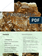 Phlogopite