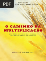 E-book o Caminho Da Multiplicação