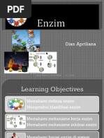 Enzim_2.pdf
