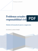 Problemas Actuales De La Responsabilidad Civil. 