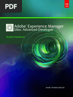 AEM Developer Guide | PDF | Java (Programming Language) | Websites