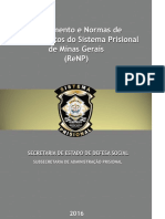 Regulamento e Normas de Procedimentos do Sistema Prisional de Minas Gerais 28.pdf