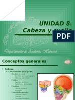 CabezaCuelloAnatomia