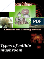Mushroomculture 140714060617 Phpapp01