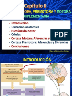 Corteza Motora y Premotora 13-junio-2015.pdf