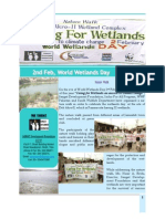 Nature Walk &amp; Wetlands Report
