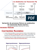 Variación de Procesos Fisicos en Ambientes de Transicion Fluvio-Mareal, Christian Romero, 2016