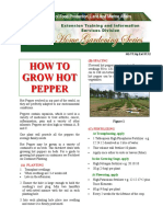 How to Grow Hot Pepper.pdf