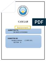 Cam Lab: Assignment