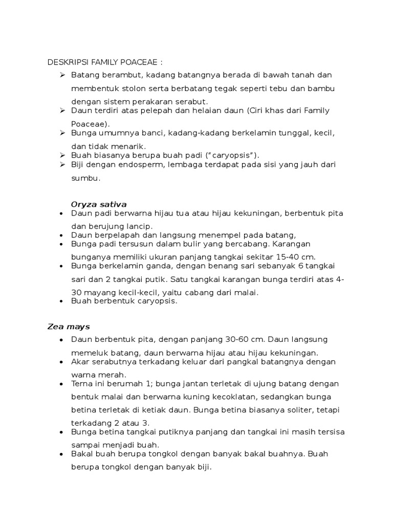 Klasifikasi Family Poaceae PDF