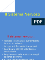 Sistema Nervosoles2