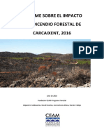 Informe CEAM Incendio Forestal Carcaixent 16/06/2016