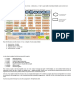 Bit Curriculum Flow