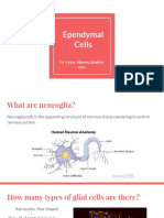 Anatomy Ependymal