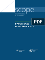 audit dans le secteur public.pdf