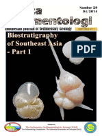 BS29-Biostratigraphy_SEAsia_S.pdf